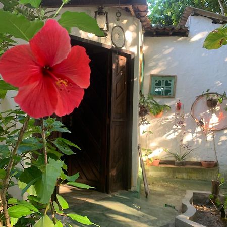 Conjunto Sol Roots Villa Praia de Pipa Kültér fotó