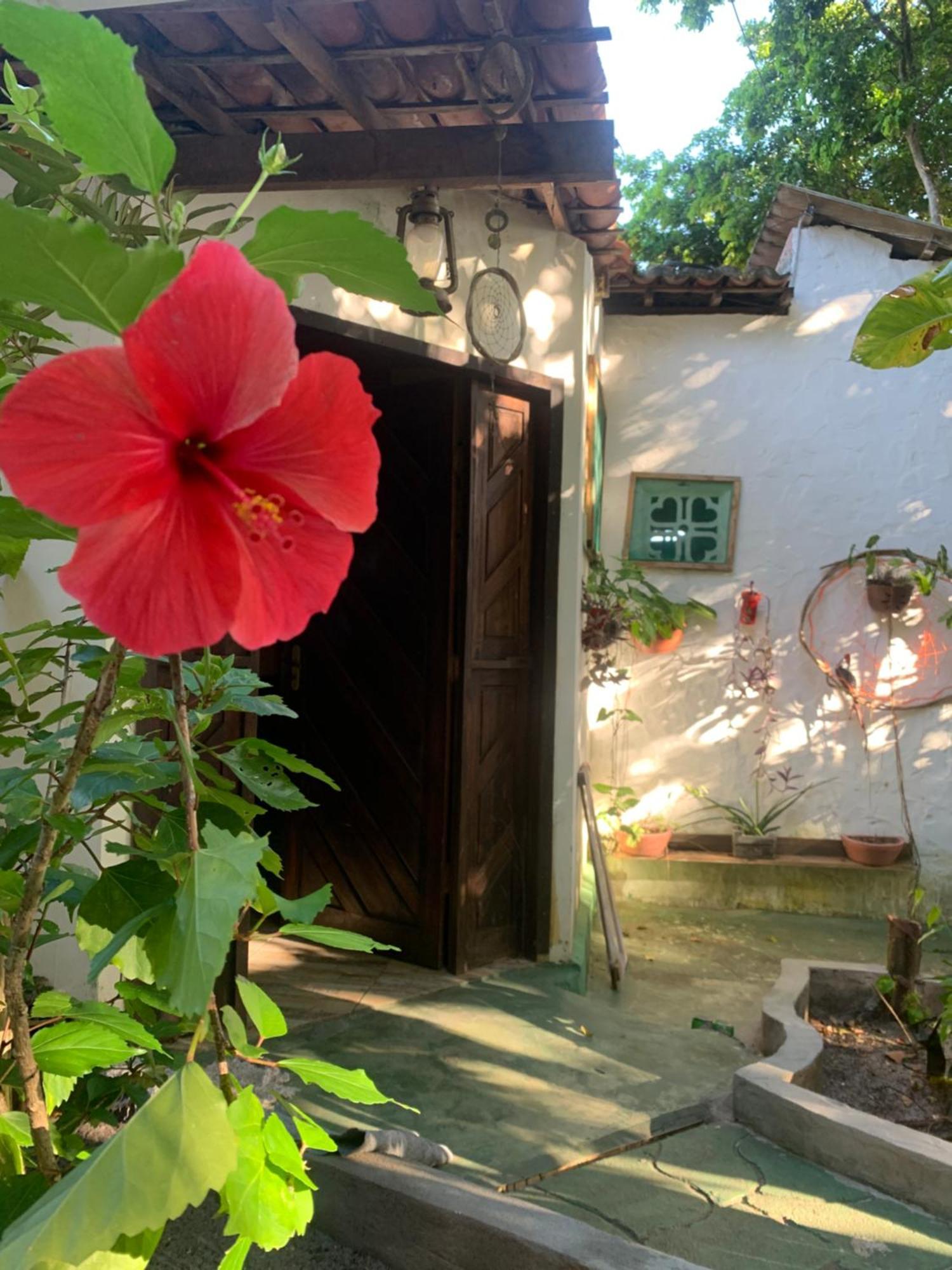 Conjunto Sol Roots Villa Praia de Pipa Kültér fotó
